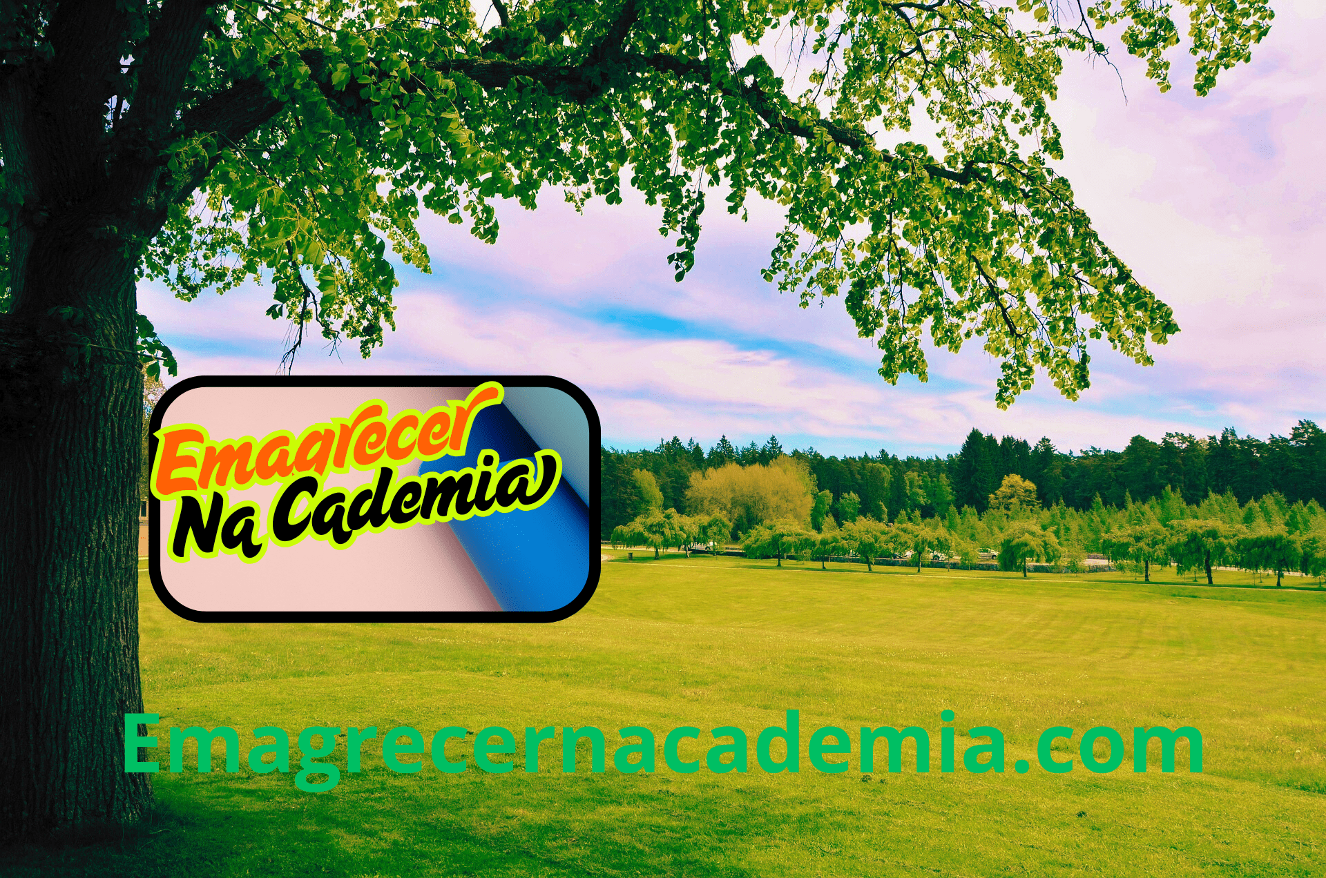 Os Melhores Produtos Naturais para Saúde e Fitness